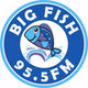 ZFKO Big Fish 95.5 logo
