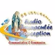 Radio Immaculée Conception logo