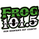 Logo de Frog 101.5 - WJNR-FM