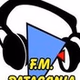 Radio FM Patagonia Madryn logo