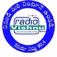 Radio Vishnu 90.4CR logo