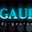Bollywood Radio (Dj Gaurav) logo