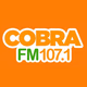 Logo de Rádio Cobra FM 107.1