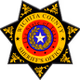 Wichita Falls, TX Sheriff, Police logo