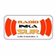 Radio Inkasur logo