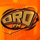 ORO FM 88.1 - XHSCJS logo