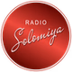 Radio Solomiya logo