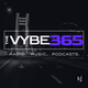 Logo de The Vibelyfe - THEVYBE365