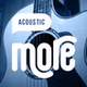 Радио MORE.FM - Acoustic logo