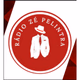 Logo de Rádio Zé Pelintra