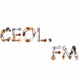 Logo de Ceol FM - Soothing