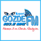 Logo de Kayseri Gözde Fm