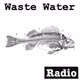 Logo de wastewatermusic