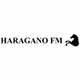 Rádio Haragano FM logo