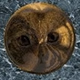 sixtus logo