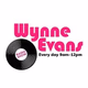 Logo de The Wynne Evans Show