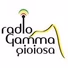 Radio Gamma Gioiosa logo