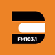 Logo de Rádio Difusora Paraisense
