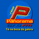 Rádio Panorama 87.9 logo