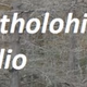 Logo de Bartholohit Radio