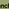 Rancho Relaxo Radio logo