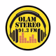 Logo de El Olam Stereo 91.3 FM
