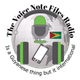 Logo de The Voice Note Files Radio (TVNF)