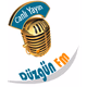 Logo de Düzgün FM