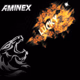 Logo de aminex