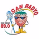 Can Radyo Ereğli logo