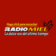 Logo de Radio Miel Puerto Rico