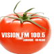 Logo de Visión FM
