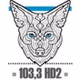 Coyote New Country - CHAA-HD2 logo