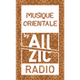 Allzic Radio - Orientale logo