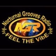 Nocturnal Grooves Radio logo