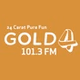 Gold 101.3 FM logo