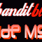 Logo de Bandit Blues Radio