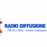 Radio Diffusione Pistoia logo
