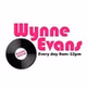 The Wynne Evans Show logo
