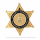 Riverside City Police Dispatch logo