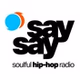 Say say logo
