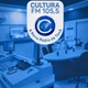 Rádio Cultura dos Inhamuns 105.5 FM logo