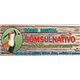 Rádio Web Digital Som Sul Nativo logo