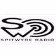 Logo de Region Radio - Spitwyre Radio