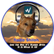 Logo de Radio Shiloh