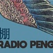 Radio Peng logo