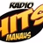 Rádio Hits Manaus logo