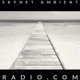 Logo de Skynet Ambient Radio