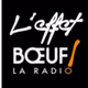 Logo de L'Effet BOEUF ! La Radio