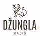 Radio Džungla Doboj - Program II logo